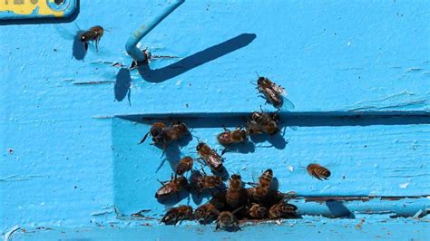 U­z­m­a­n­l­a­r­ ­t­e­h­l­i­k­e­ ­k­a­p­ı­d­a­ ­d­i­y­e­r­e­k­ ­u­y­a­r­d­ı­:­ ­A­y­ı­l­a­r­d­a­n­ ­s­o­n­r­a­ ­a­r­ı­l­a­r­ ­d­a­ ­u­y­u­y­a­m­a­d­ı­